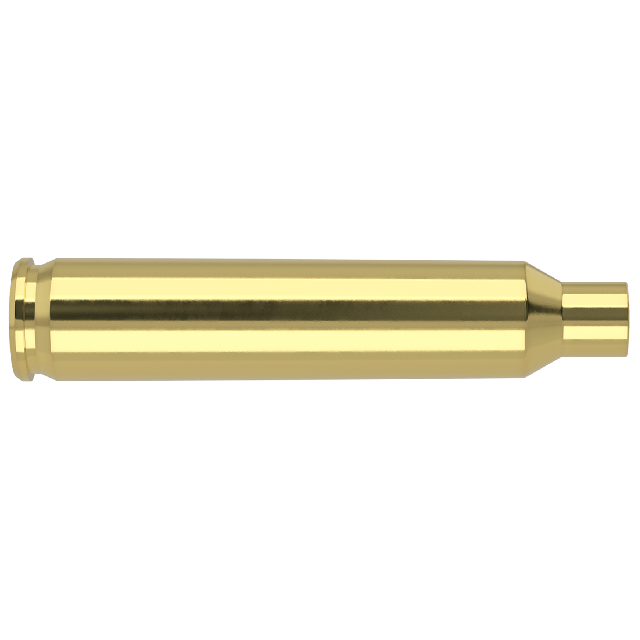 Nosler Bulk Brass - .204 RUGER X250