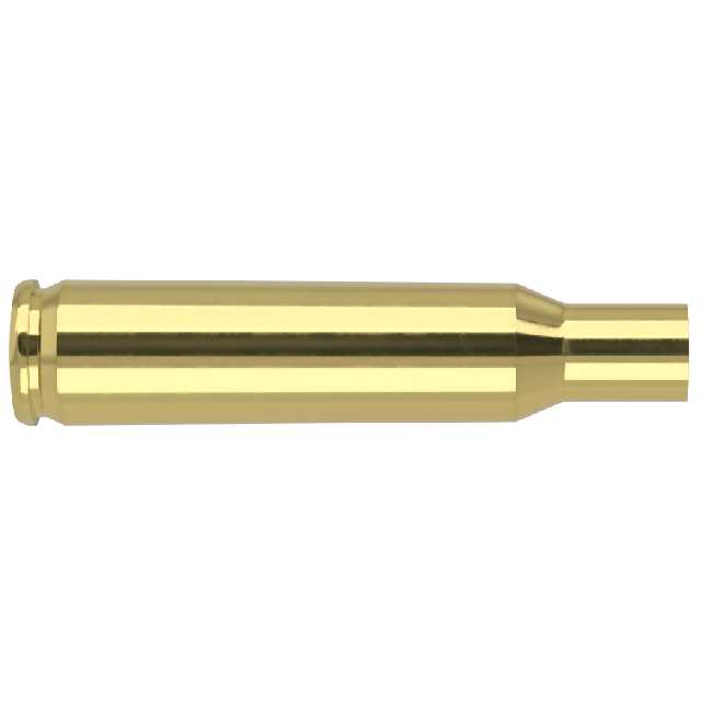 Nosler Custom Brass - .222 REM X100