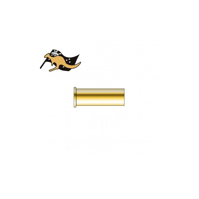 BERTRAM BRASS CASE .50-95 (x1)