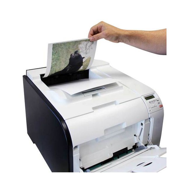 Birchwood Casey Print•N•C® Targets 8.5 x 11 Inch