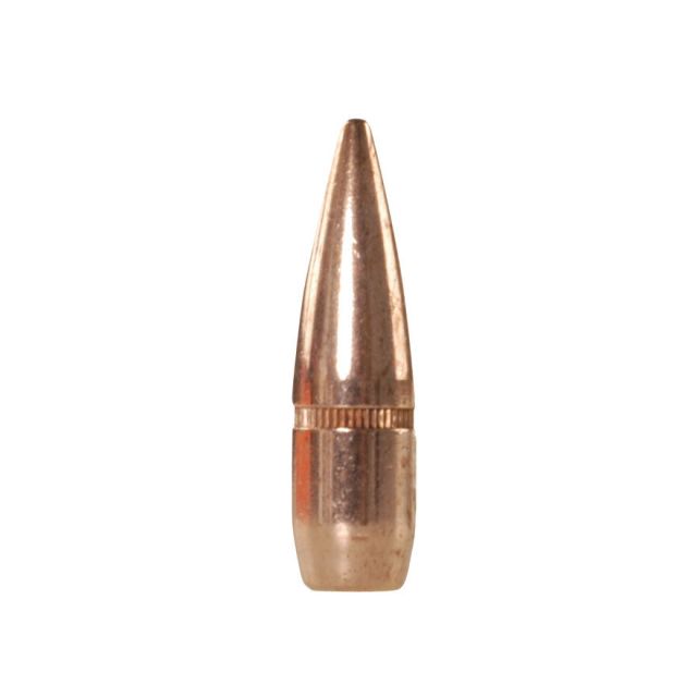 HORNADY FULL METAL JACKET x100 - .303 174G FMJ-BT