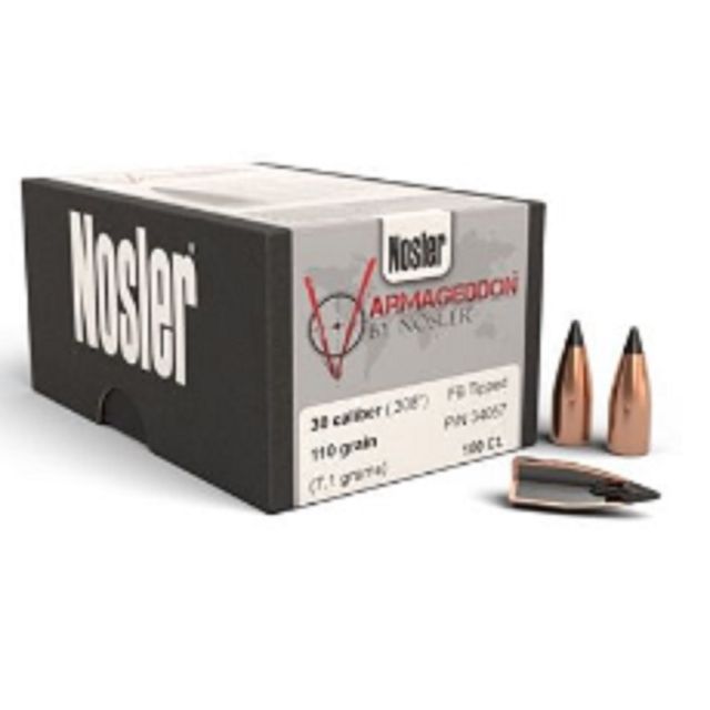 NOSLER VARMAGEDDON x250 - .17 20G FB TIPPED