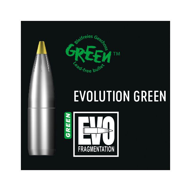 RWS Evolution Green .270 96Gr X50