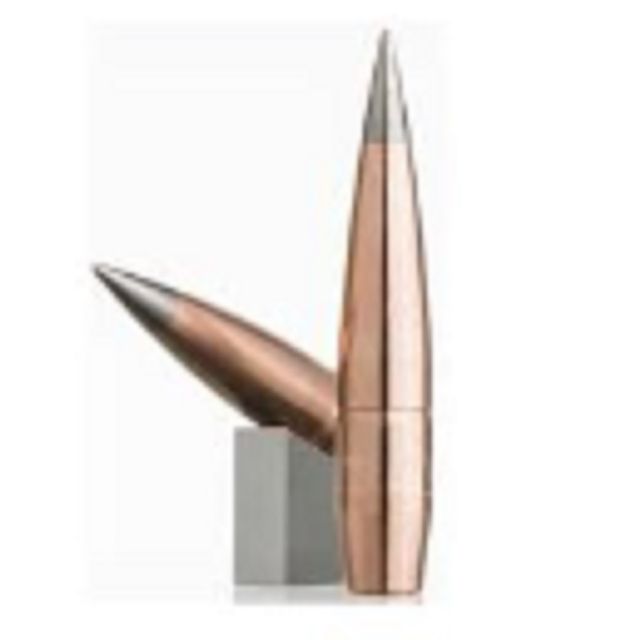 LEHIGH .375 CAL 338Gr MATCH SOLID FLASH TIP (x20)