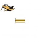 BERTRAM BRASS CASE .310 CATTLE KILLER (x1)