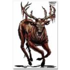 Birchwood Case Darkotic Targets