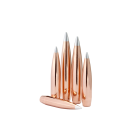 HORNADY A-TIP MATCH .338 CAL 300G (x100)