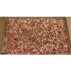 VALUE RANGE .17 CAL SP TIPPED 17G x100