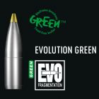 RWS Evolution Green .30 139Gr X50